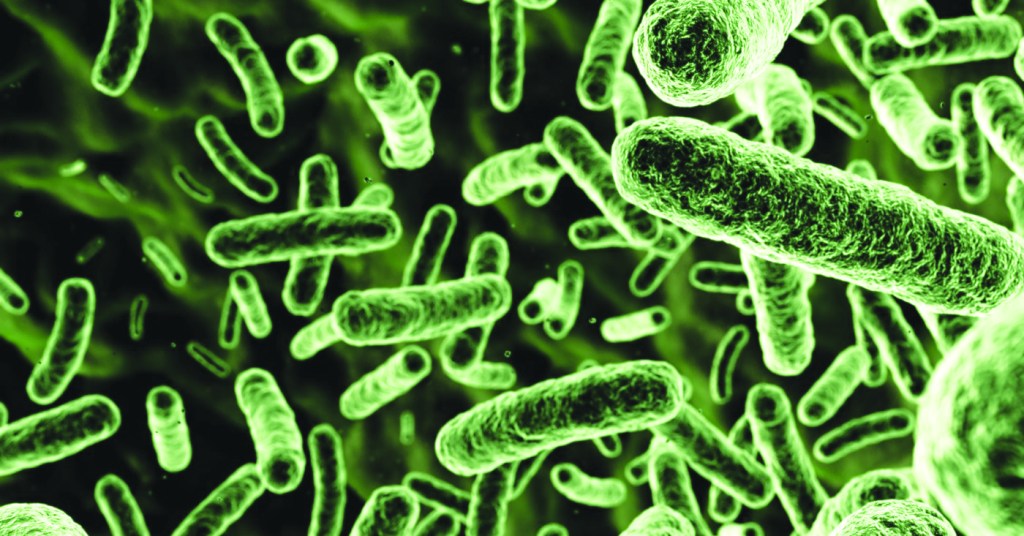 5 Deaths, 9 Cases: Louisiana Issues Flesh-Eating Bacteria Warning